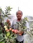 LPG Cylinder Booking Alert: No e-KYC, No Cylinder – Here's What Consumers Must Know 6 Hariman Sharma Honored with Padma Shri for Revolutionizing Apple Farming in Extreme Heat