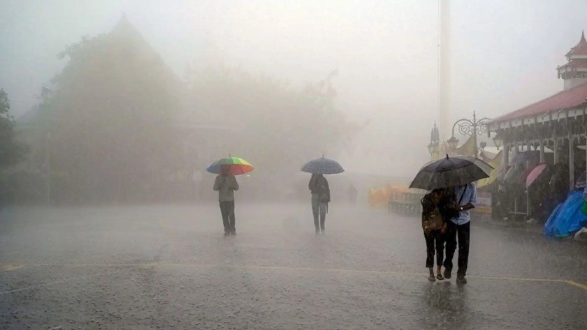 cold intensifies in rajasthan due to northern winds dense fog covers several cities