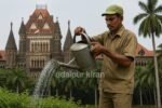 Bombay High Court Mali/Helper Recruitment 2025: Apply by April 20 via Speed Post