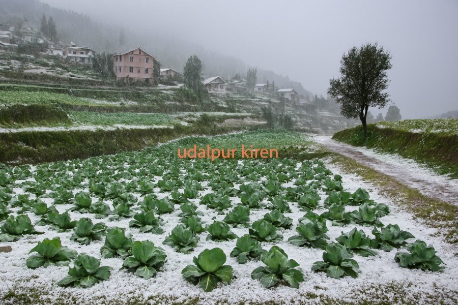 Himachal Weather Update