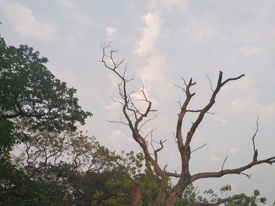 Ranchi Weather Update: Temperature Drops by 3°C, Thunderstorm and Lightning Alert Issued for Three Days 5 Weather Update