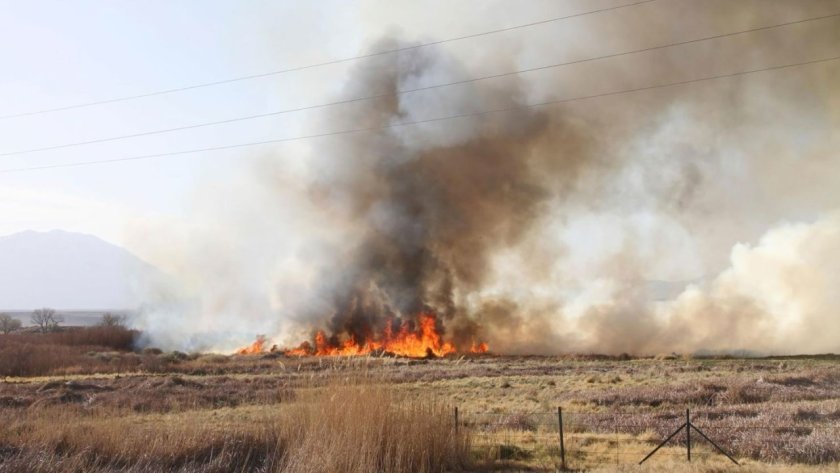 Silver Fire Erupts in Eastern California, Forcing Evacuations as Winds Fuel 1,250-Acre Blaze 6 Silver Fire California