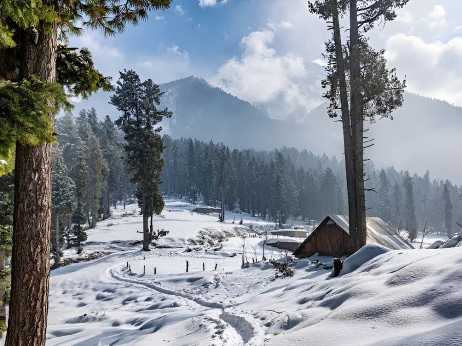 Sinthan Top Closed for Traffic Due to Heavy Snowfall on NH 244: Two-Day Suspension Announced 5 Sinthan Top