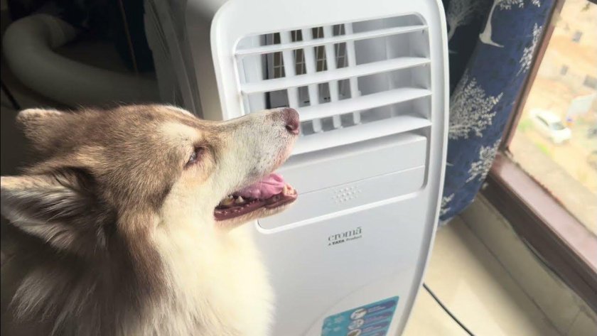 Tata Croma Portable AC