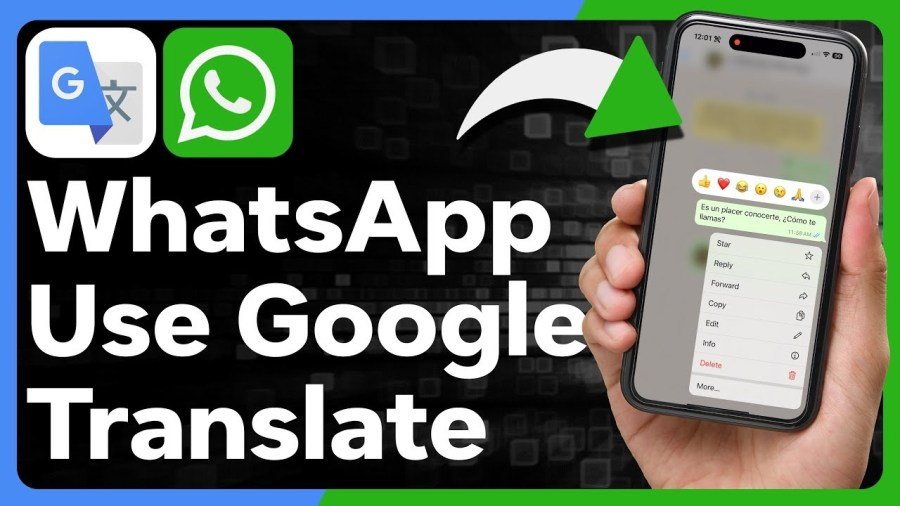 WhatsApp Tests On-Device Message Translation in Latest Beta for Android 5 WhatsApp message translation