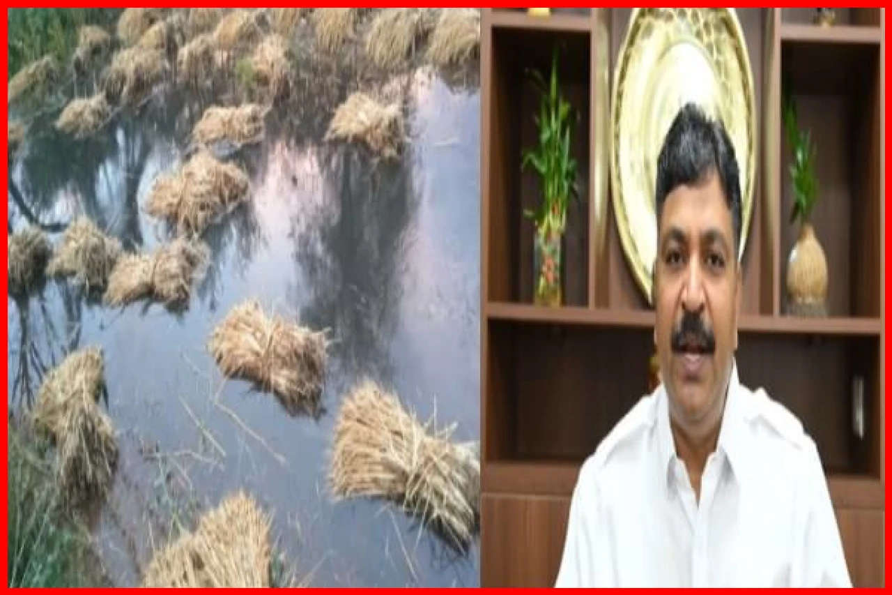 Farmers Face Devastation from Recent Hail and Rain; Opposition Leader Calls for Relief Package