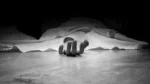Body Found
